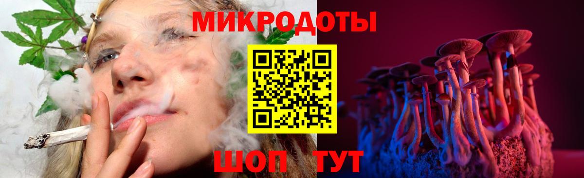 Урус-Мартан  Псилоцибиновые грибы Magic Shrooms  Вход с VPN 